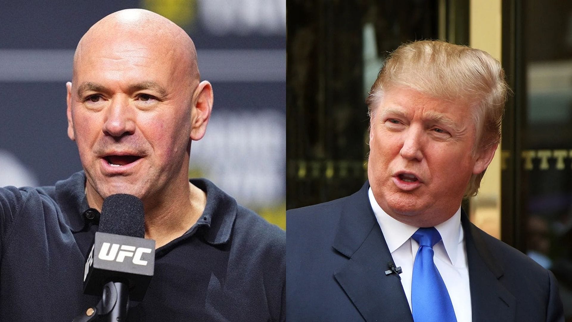 UFC White House card will air on Paramount+.