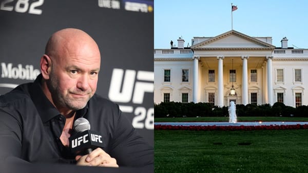 Dana White gives update on White House card.